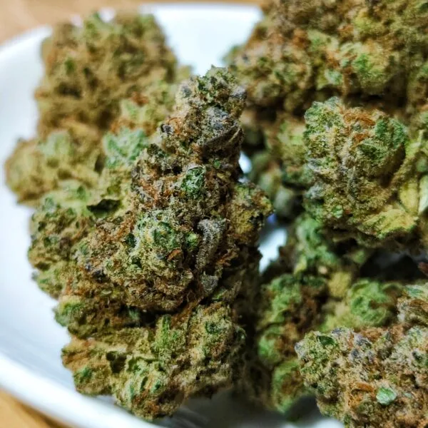 Star Dawg