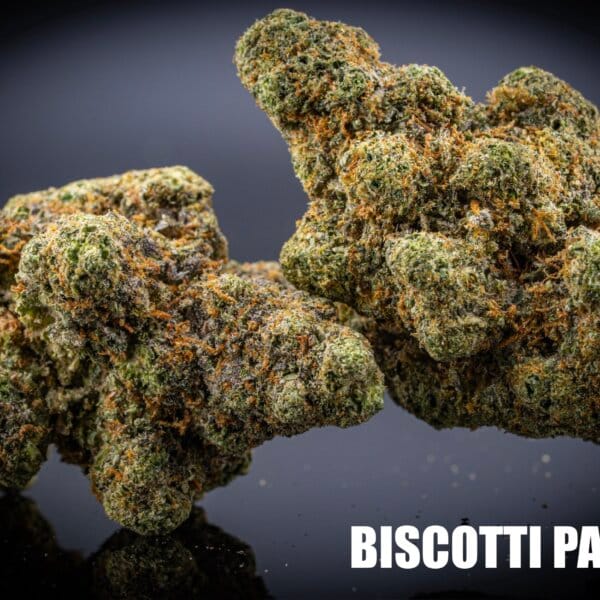 Biscotti Pancake (Tiki Cut)