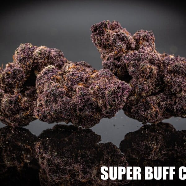 Super Buff Cherry