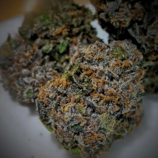 Candy Fumez (Bloom Seed Cut) /(New Batch)