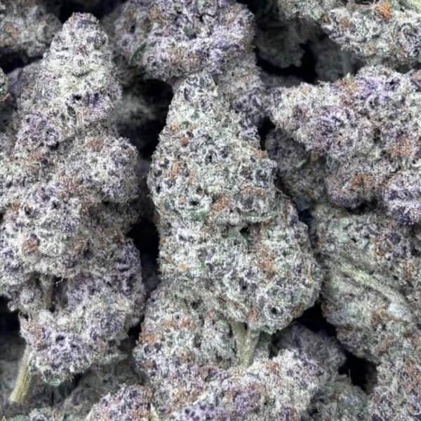 Subzero Cheery Bomb